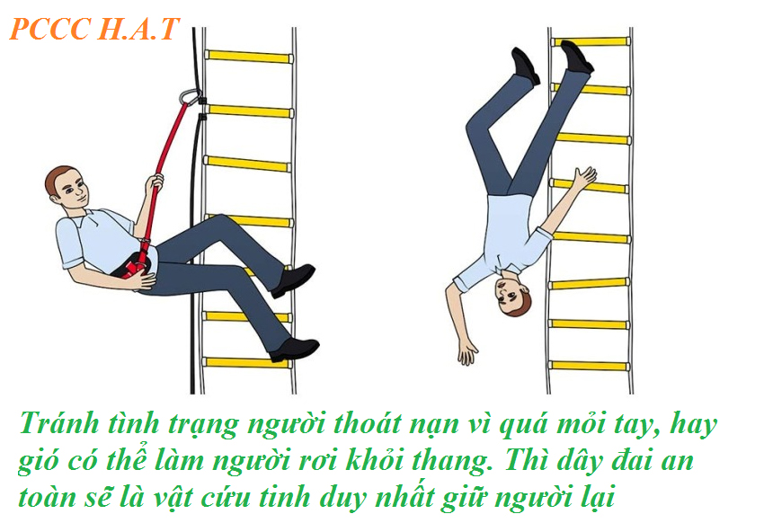Tránh tình trạng người thoát nạn vì quá mỏi tay, hay gió, có thể làm người rơi khỏi thang. Thì dây đai an toàn sẽ là vật cứu tinh duy nhất giữ người lại